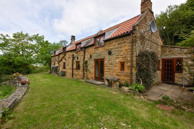 Thumbnail Detached house to rent in Browside, Ravenscar, Scarborough