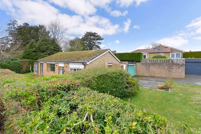 Detached bungalow for sale in Mapledrakes Close, Ewhurst, Cranleigh