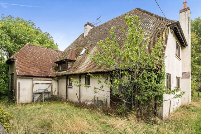 Jahan,, Kingston Deverill, Wiltshire photo 2