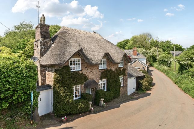 Seddons, Stoodleigh