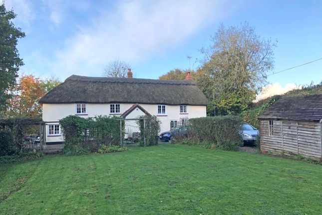 Homes For Sale In Sidbury Devon Buy Property In Sidbury Devon