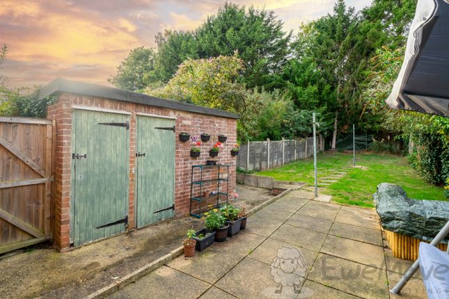 101, Pople Street, Wymondham photo 4