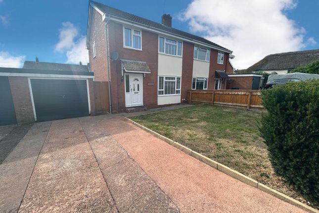 Whatsapp Image 2025-11-25 At 2.08.10 Pm