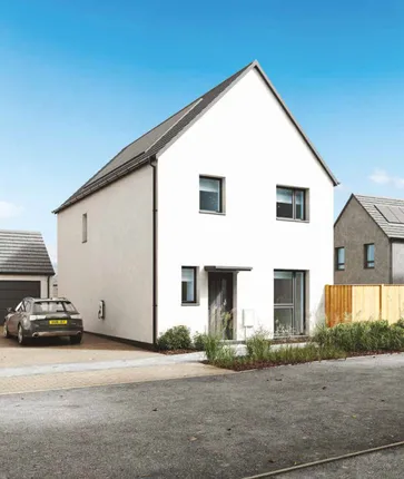 Pobl Living - Gwynfaen