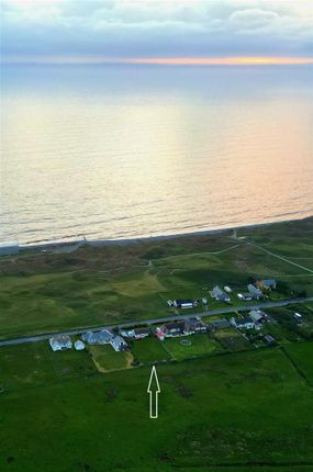 Little Acre, Borth photo 4