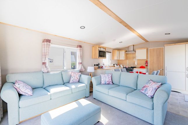 Hamilton, Broadland Sands Holiday Park, Lowestoft photo 4