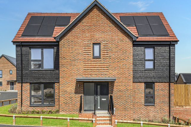 The Linnets, Number 54