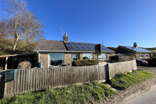 Detached bungalow to rent in Clover Hill, Chilcombe Lane, Chilcombe DT6