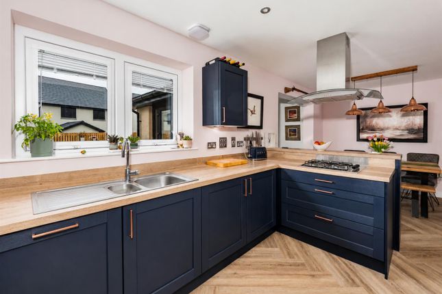 3, Grayburn Loan, Dundee photo 4