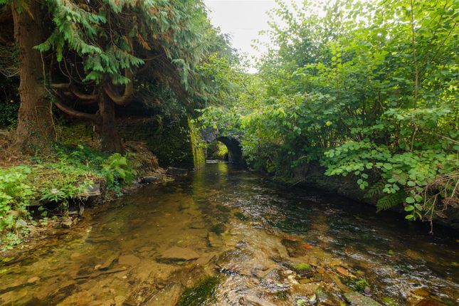 Landlooe Bridge Farm, Landlooe Bridge, Liskeard photo 3