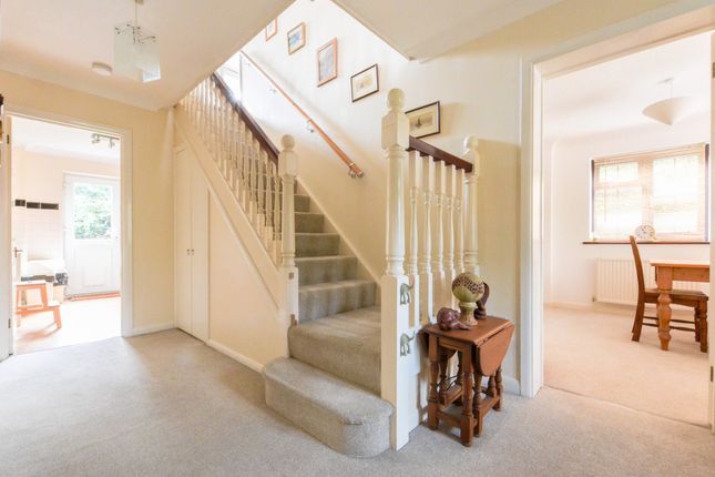 38a, Hawks Road, Hailsham photo 3