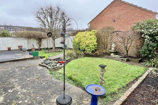 Detached bungalow for sale in Dukes Way, Axminster