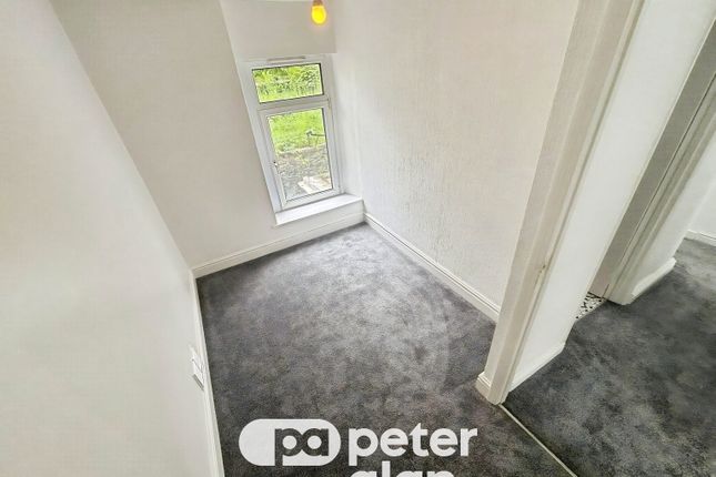 53, Mountain Ash photo 5