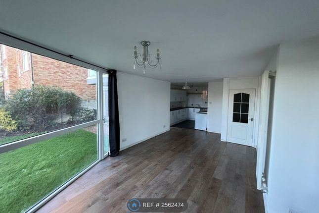 Lounge/Kitchen