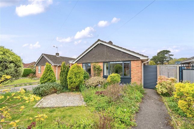 Thumbnail Bungalow for sale in Pinewood Road, Hordle, Lymington, Hampshire