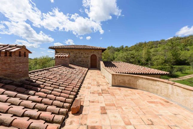 Country house for sale in Sp 155 Fabbianello, Manciano, Toscana