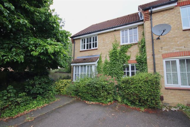 Thumbnail Property to rent in Blackthorn Close, Cambridge