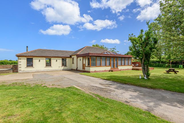 Thumbnail Bungalow for sale in North Leys Road, Hollym, Withernsea