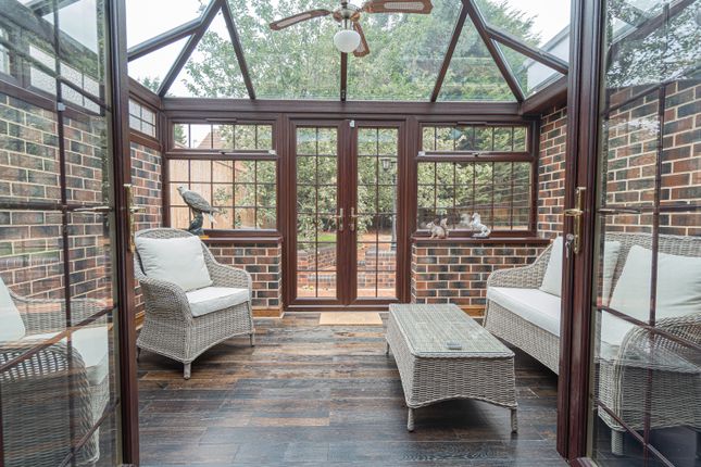 20250801-Dsc0595320250801