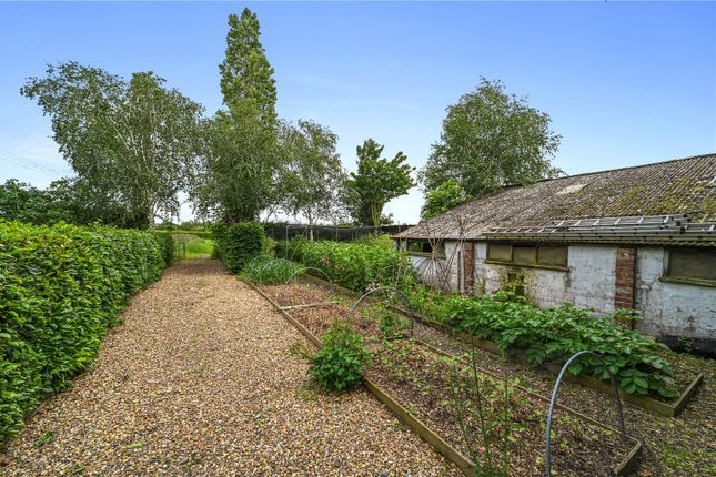 61, Tile Barn Lane, Manningtree photo 4