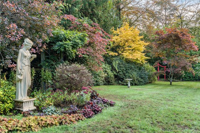 Kemnal Park, Surrey photo 4