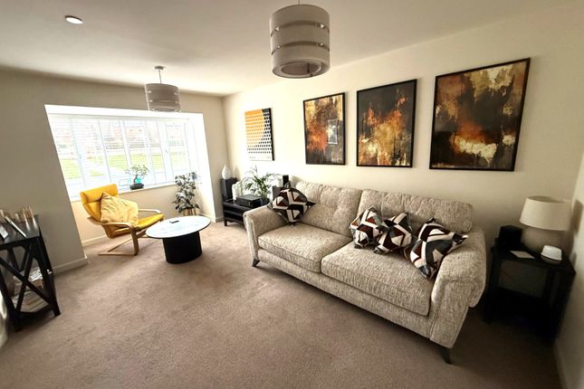 31, Maesderw, Newtown photo 2