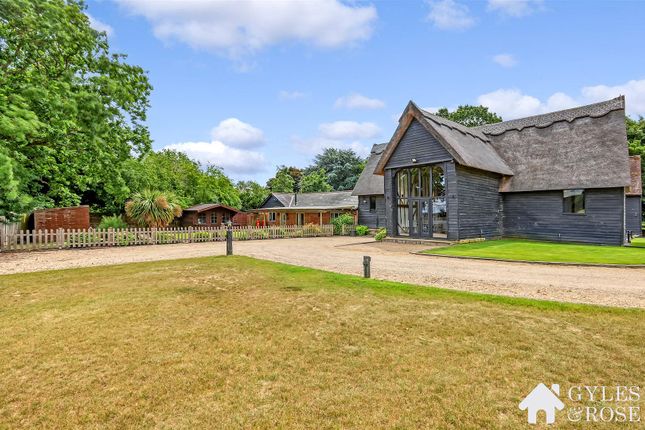 Annexe Garden