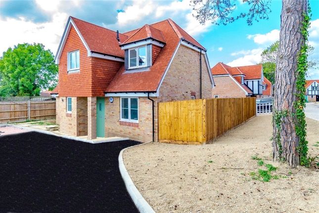 Thumbnail Detached house for sale in Wyvell Close, Shirley, Croydon