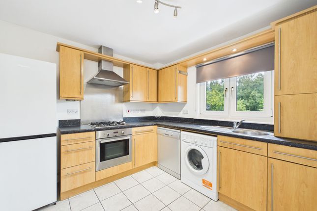 23 Cypress Lane, Hamilton photo 4