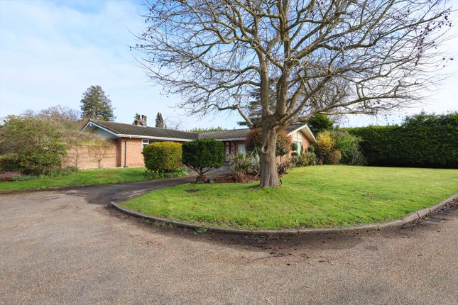 Bungalow for sale in Willowmere, Esher, Surrey