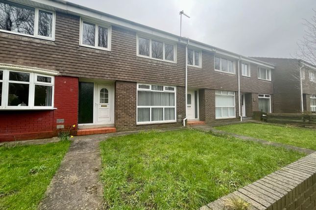 Thumbnail Terraced house to rent in Ainsworth Avenue, South Shields