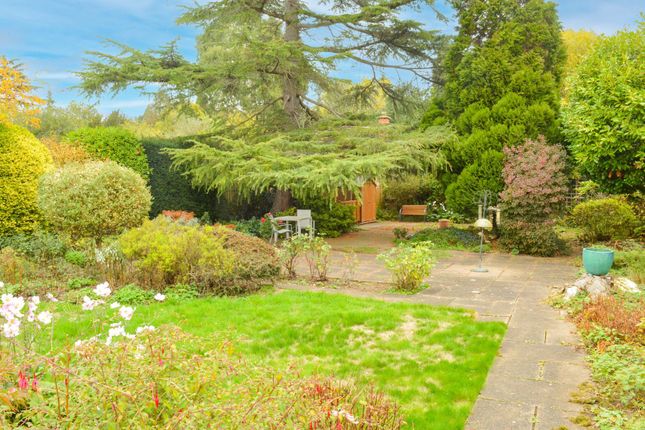 16 Sackville Gardens, Leicester photo 3
