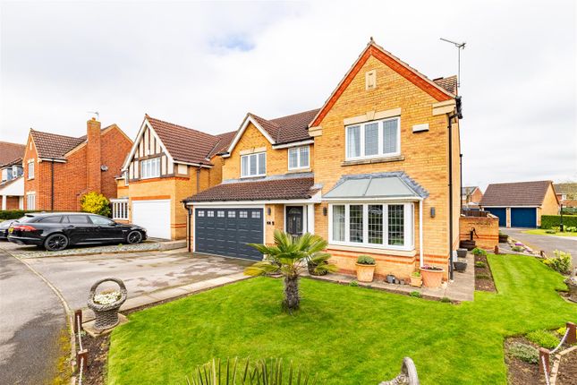 Thumbnail Detached house for sale in Montbretia Drive, Bottesford, Scunthorpe