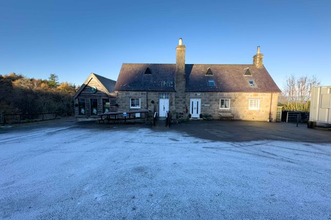 Thumbnail Restaurant/cafe for sale in Norse Bakehouse, Woodend, Rhitongue, Lairg