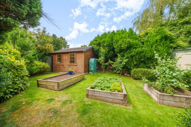 Cottage for sale in Holly Bushes, Milstead, Sittingbourne