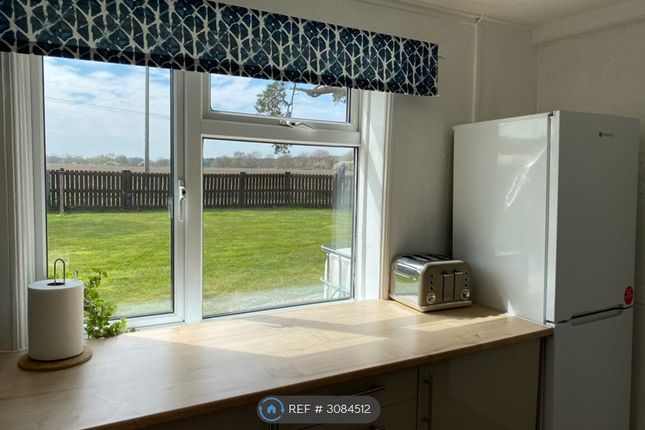 Walberswick, Southwold photo 5
