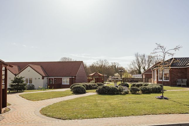 5 Jasmine Walk, Dereham photo 4