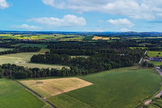 Land for sale in Fasque Estate, Aberdeenshire