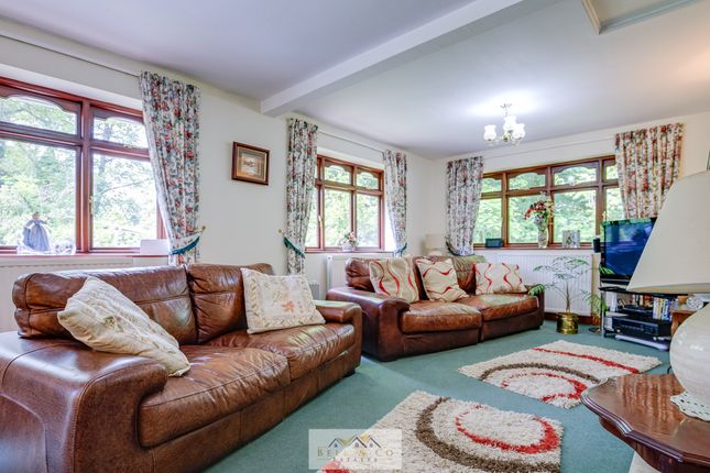 Le Chalet 85, Manor Road, Sheffield photo 4