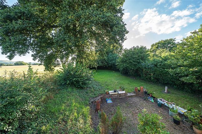 Hill View Cottage, 28, Winchester Road, Petersfield photo 4