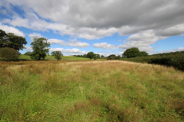 Land for sale in Land At Irthington, Brampton