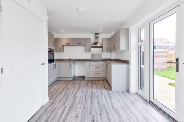13 Euphoria End, Newmarket photo 2