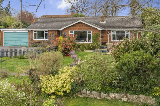 Bungalow for sale in Old London Road, Coldwaltham, West Sussex
