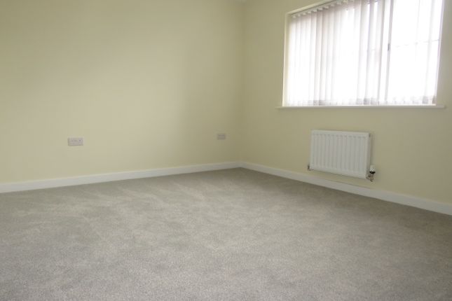 9, Warwick photo 3