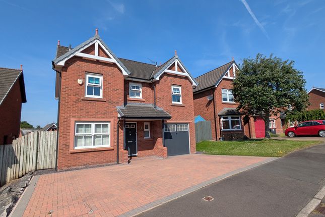 8, Parkfoot Meadows, Dumfries photo 2