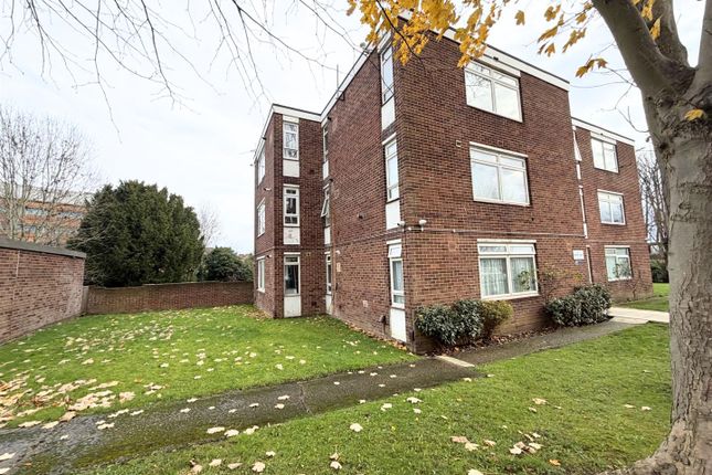 Thumbnail_Img_0526 - Edited.Jpg