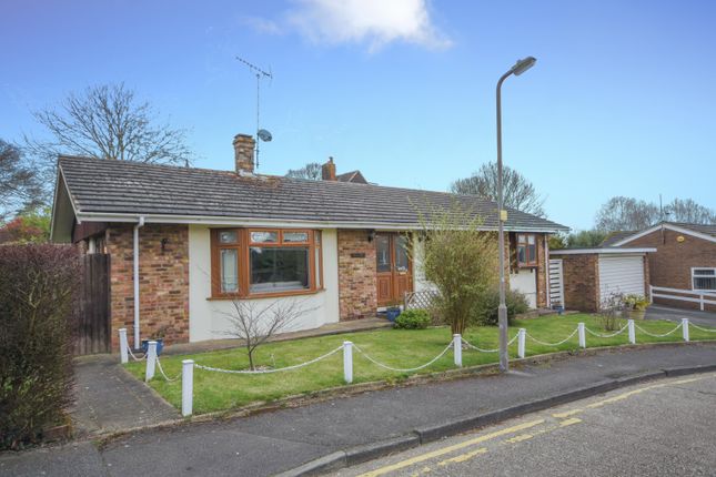 Thumbnail Detached bungalow to rent in Lewis Close, Shenfield, Brentwood