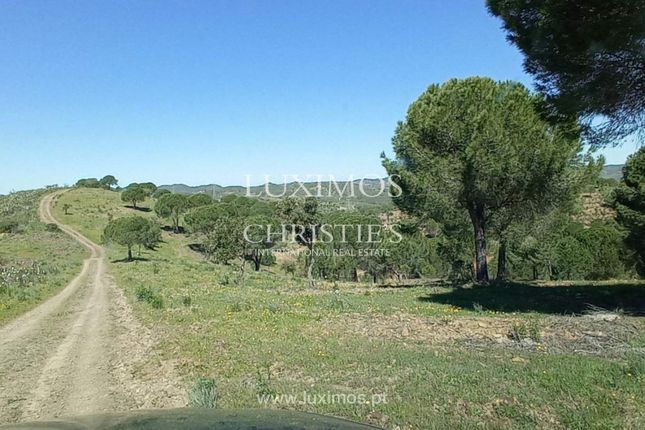 Land for sale in São Bartolomeu De Messines, Portugal