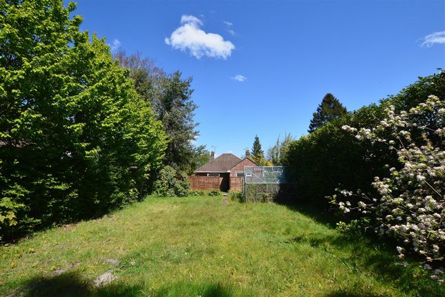 Detached bungalow to rent in Grasmere Road, Lightwater