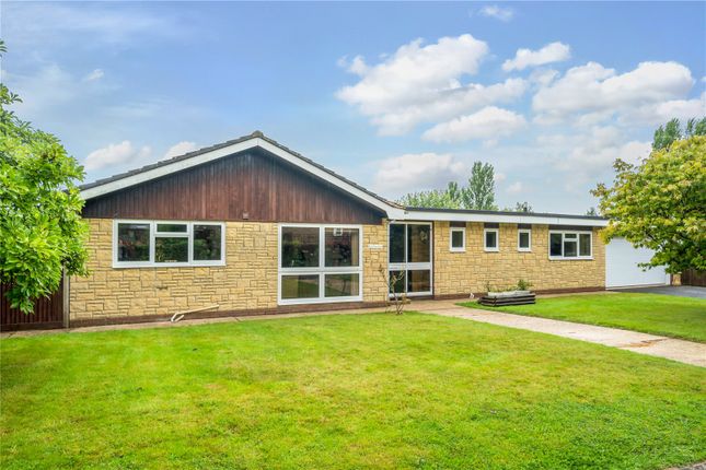 Thumbnail Bungalow to rent in Crows Lane, Upper Farringdon, Alton, Hampshire